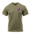 1163d TFSB AR 670-1 Coyote Brown T-Shirt