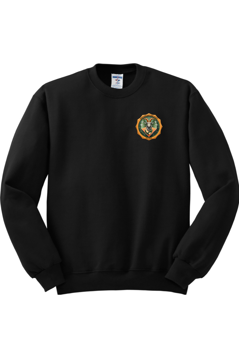 USASA Crewneck Sweatshirt with Right Sleeve Flag