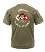 CNSC 46th ASB AR 670-1 Coyote Brown T-Shirt