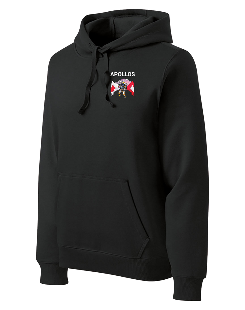 A Co 51st ESB Poly/Cotton Blend Hoodie with Right Sleeve Flag