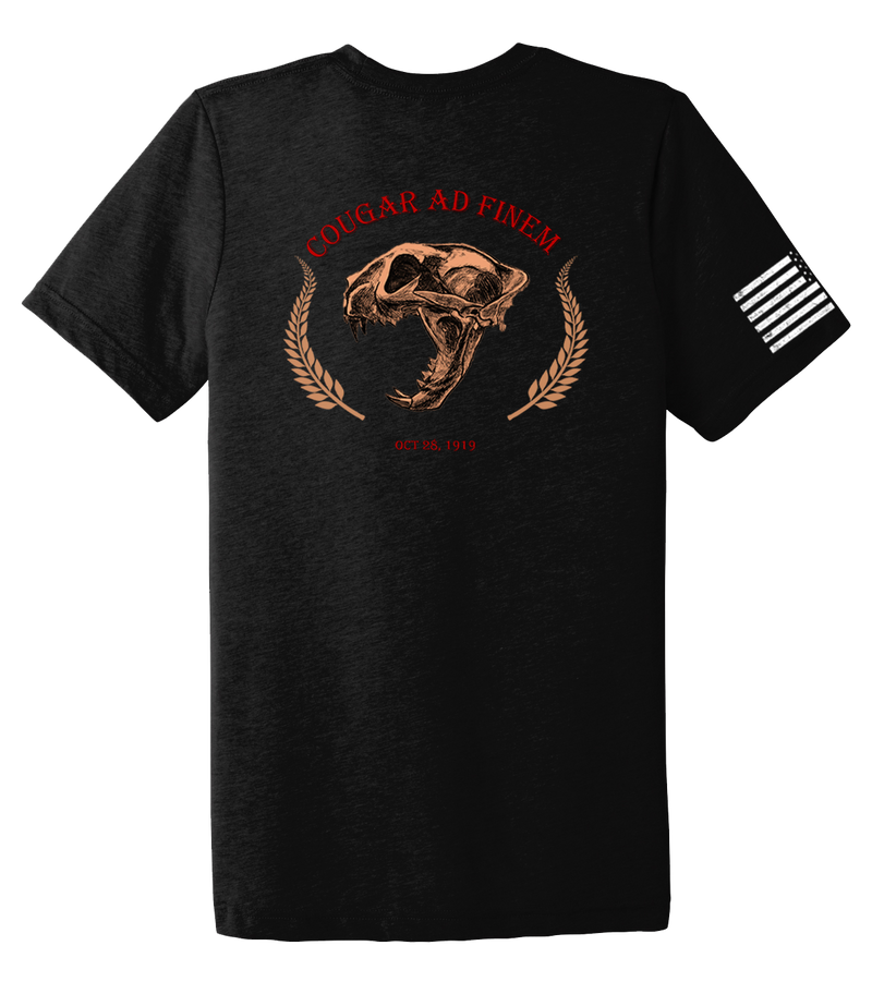 WSU ROTC Unisex Triblend Short Sleeve Tee with Right Sleeve Flag